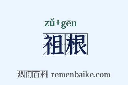 祖根是什么意思的图片